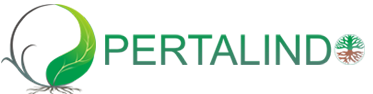 PERTALINDO